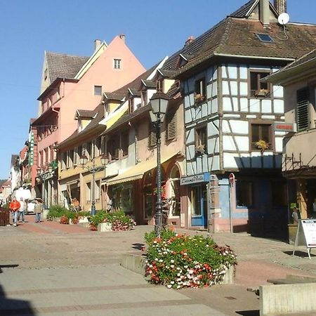 Maison Bleue Apartman Saverne Kültér fotó