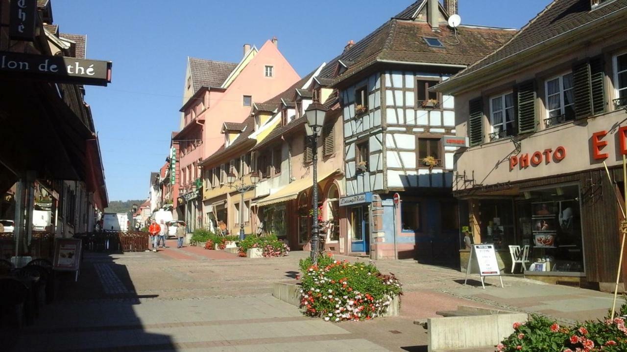 Maison Bleue Apartman Saverne Kültér fotó