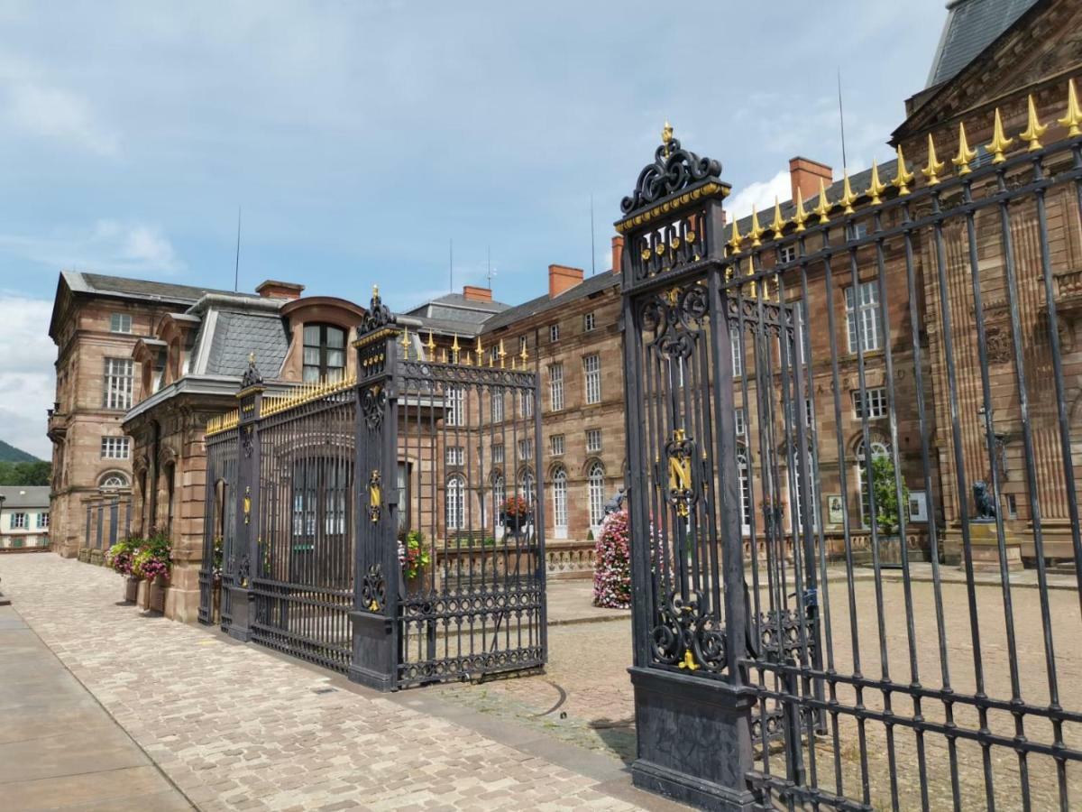 Maison Bleue Apartman Saverne Kültér fotó